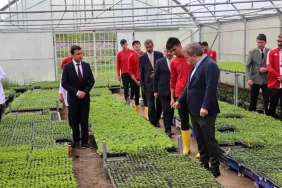 Erzincan'da öğrenciler organik sebzeler yetiştirerek ek gelir elde ediyor