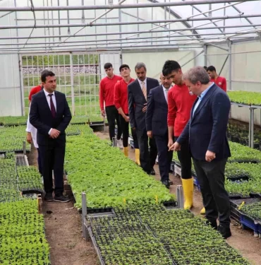 Erzincan'da öğrenciler organik sebzeler yetiştirerek ek gelir elde ediyor