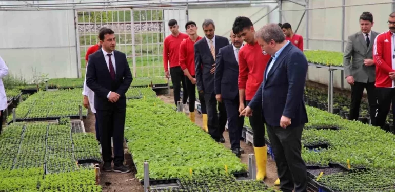 Erzincan’da öğrenciler organik sebzeler yetiştirerek ek gelir elde ediyor