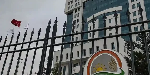 Tarım ve Orman Bakanlığı'ndan nesli tükenme tehdidi altında olan turnalara sıkı takip